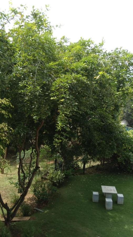 Golden Residence Anuradhapura Εξωτερικό φωτογραφία