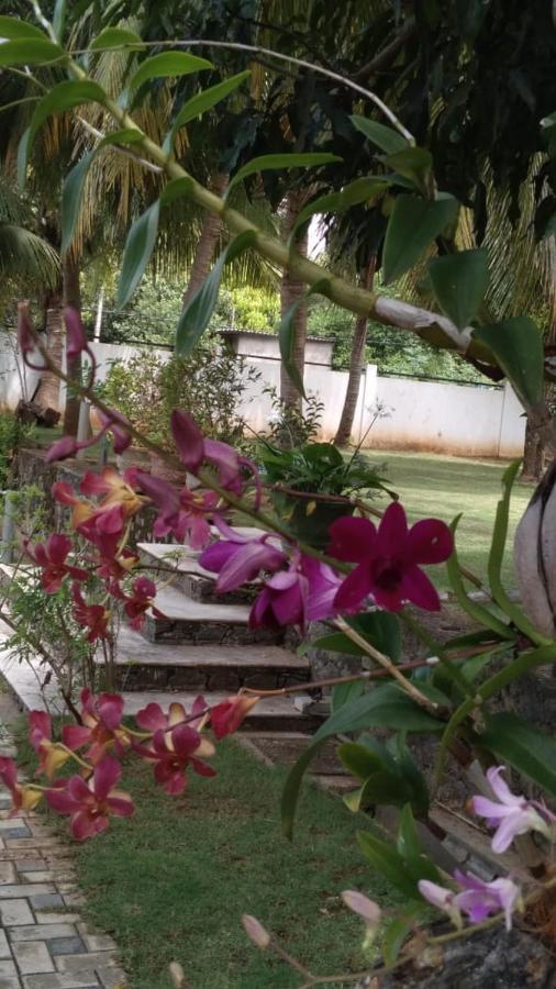 Golden Residence Anuradhapura Εξωτερικό φωτογραφία